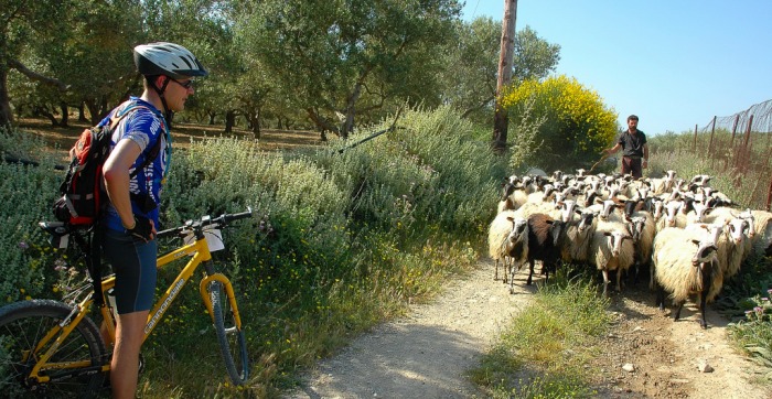 tint Grace Verpletteren Kreta deel I - Dé site voor de reizende mountainbiker en racefietser